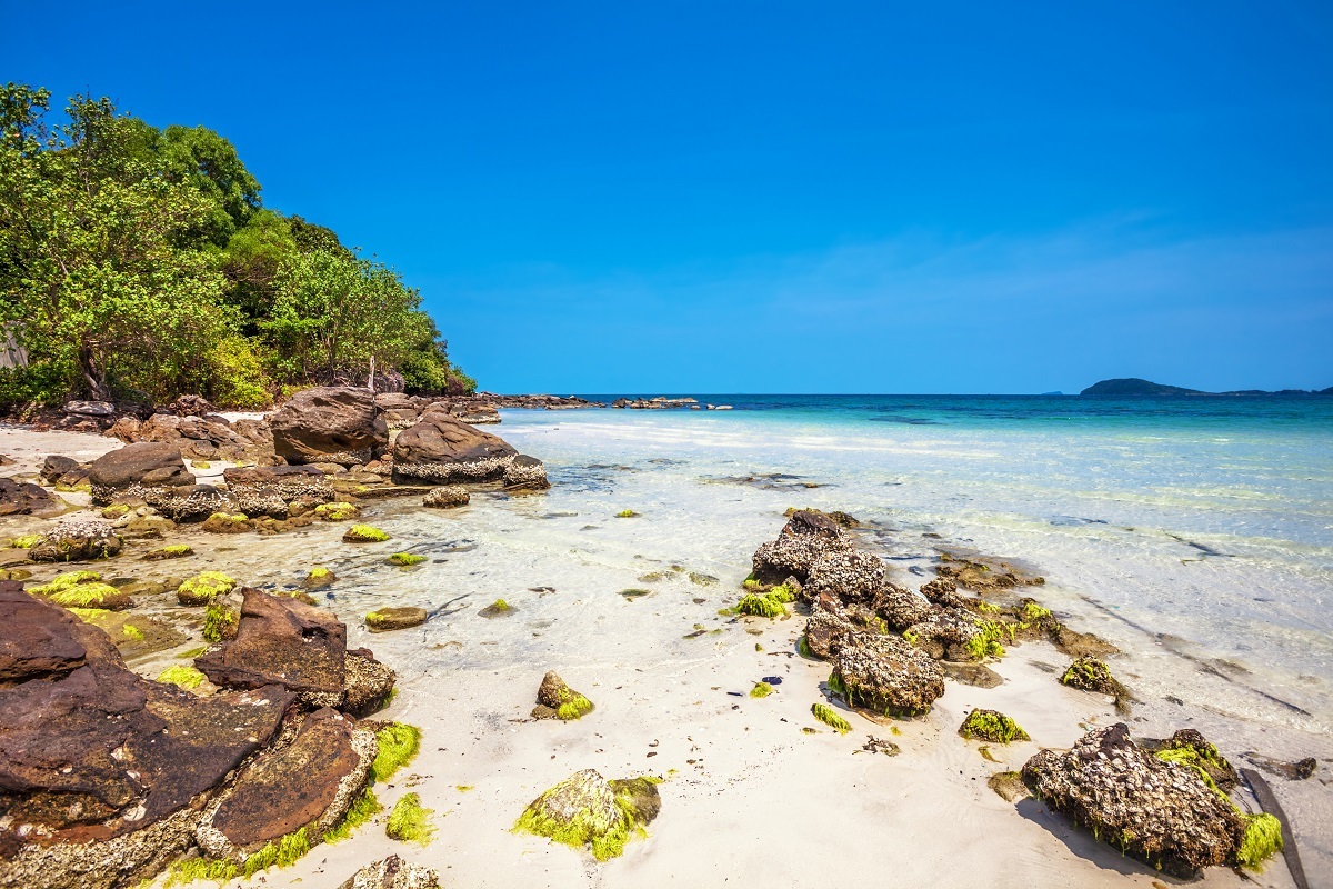 avshotelphuquoc avshotelphuquoc